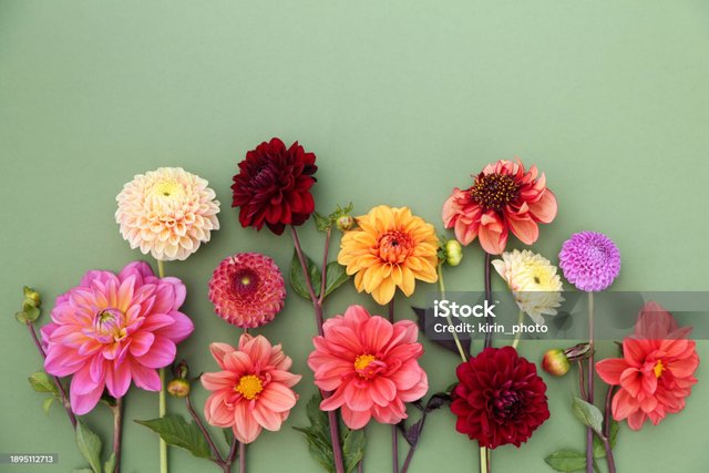 istockphoto-1895112713-2048x2048.jpg