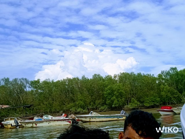 IMG_20241129_135321565_1.jpg