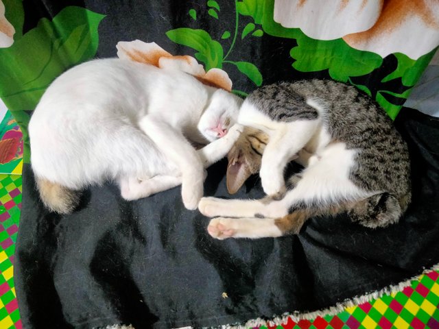 IMG20250716234446.jpg