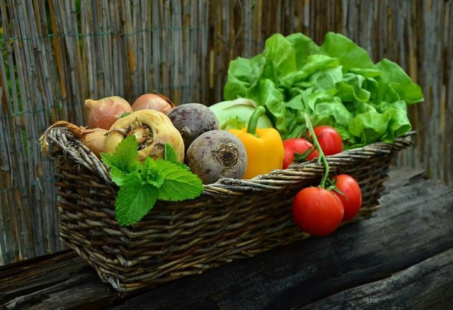 Benefits of Eating Organic Food