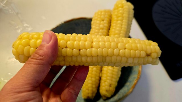 1000135001.jpg