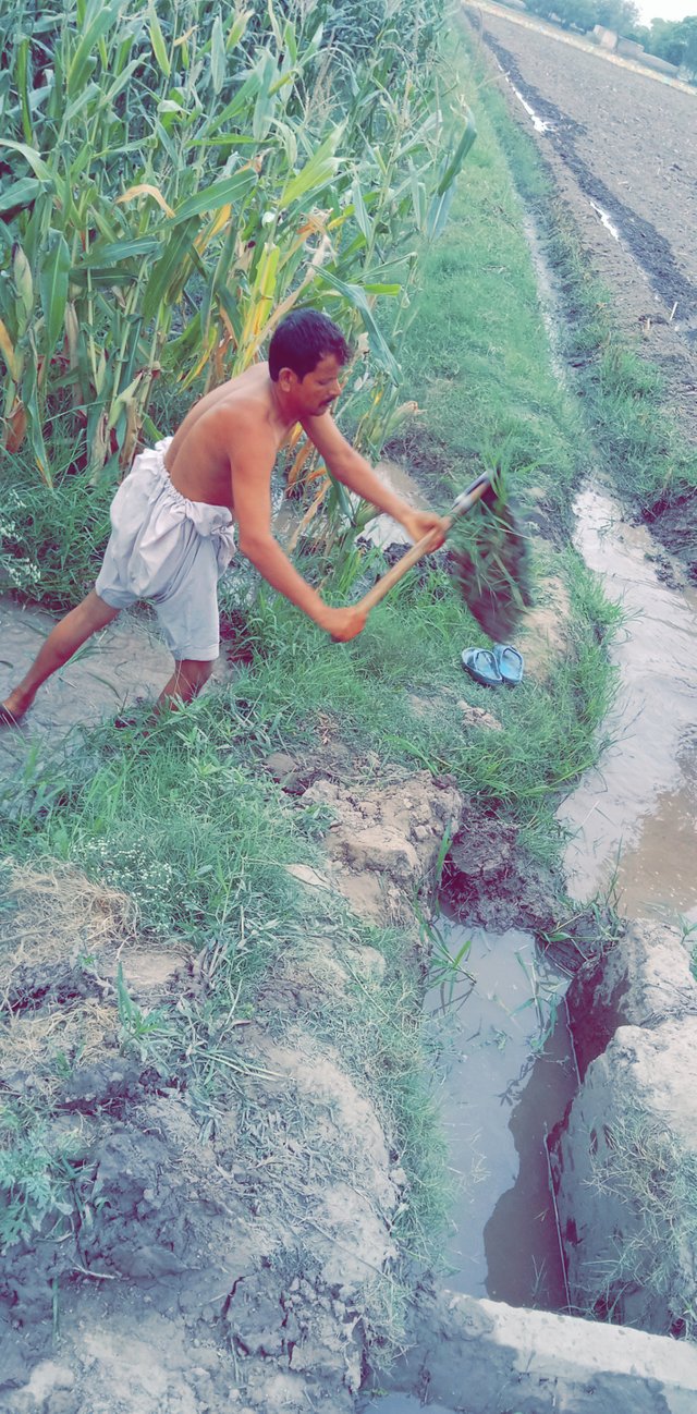 Snapchat-2073101043.jpg