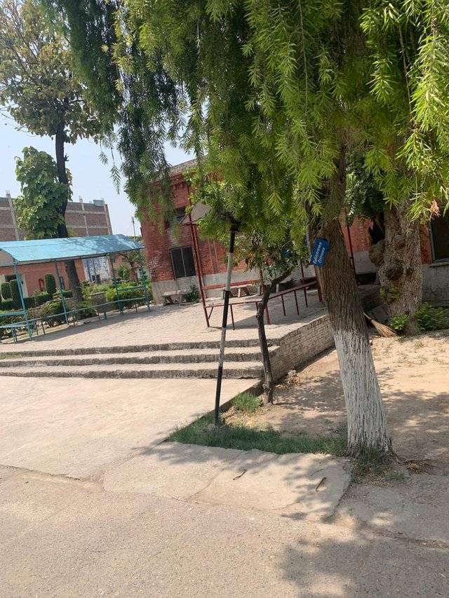 BS students benches.jpg