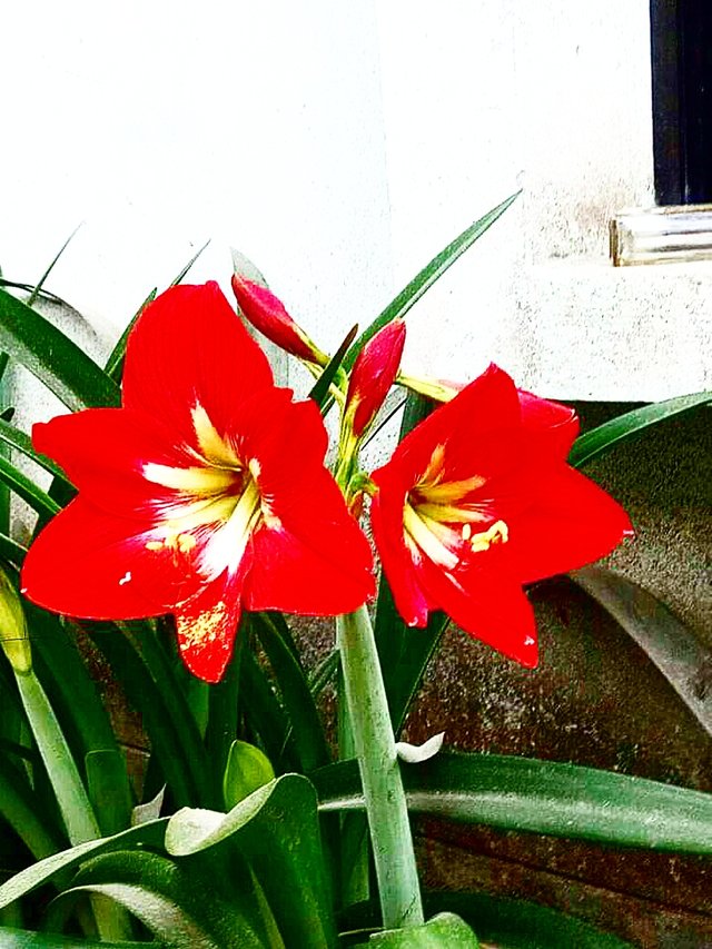 B612_20220405_204104_761.jpg
