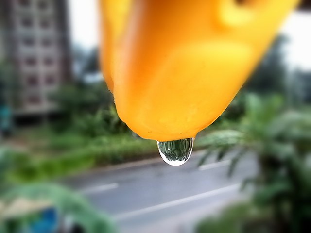 20250805_163743_edit_59128918233588.jpg