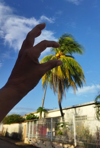 IMG_20220707_070019.jpg