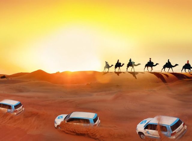 Private Desert Safari Tour in Dubai.jpg