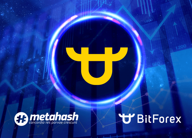 MetaTrade-Bitforex-960x691.png