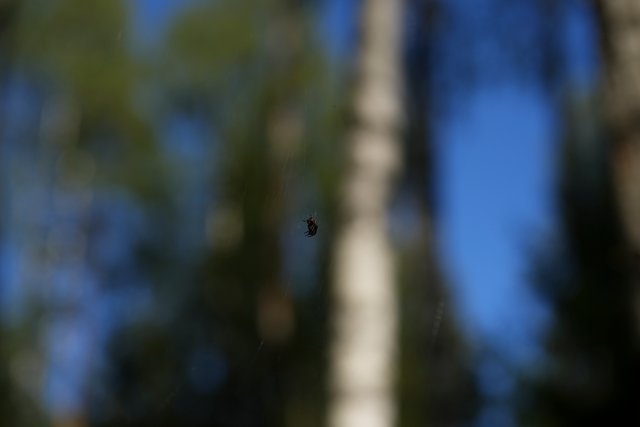 DSC03810.jpg