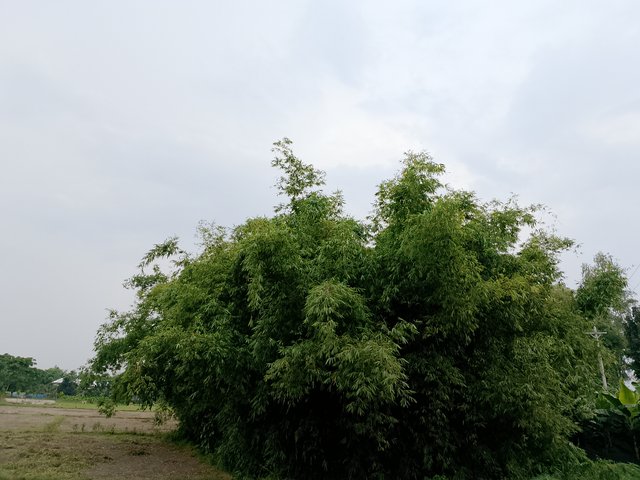1000041853.jpg