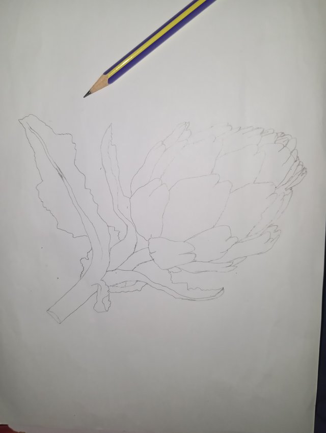 1000039588.jpg