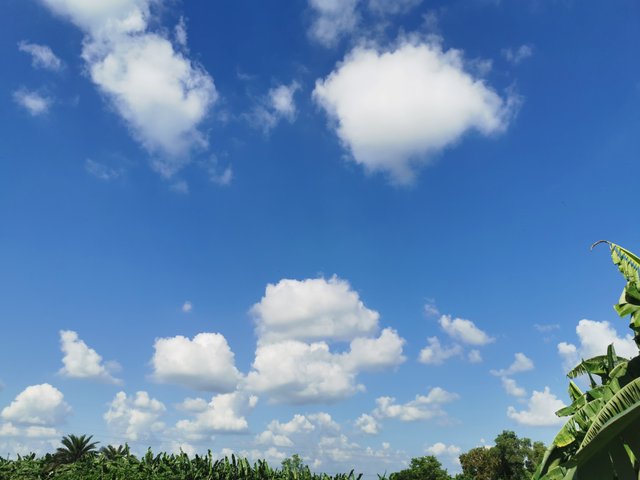 IMG_20240829_151926.jpg