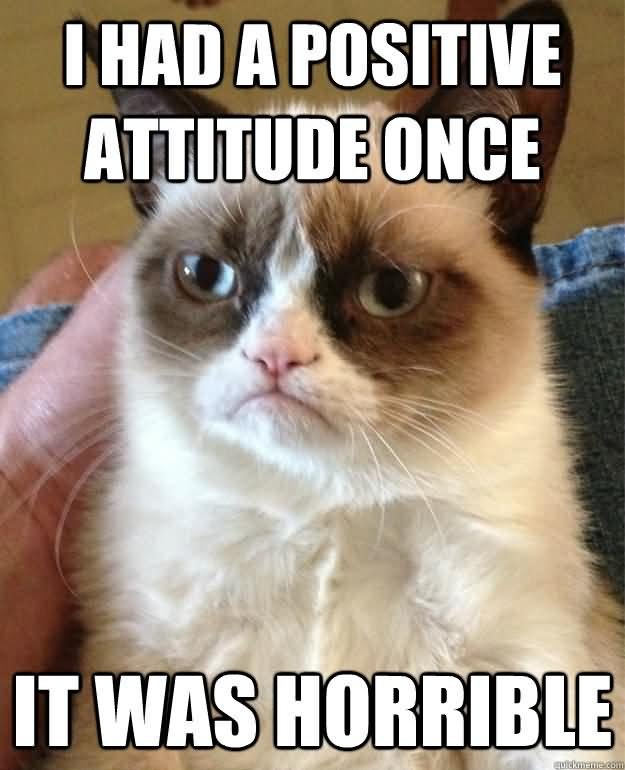 I-Had-A-Positive-Attitude-Once-Funny-Cat-Meme.jpg