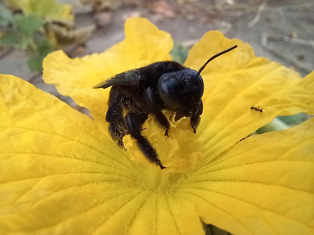 20221128_073641.jpg
