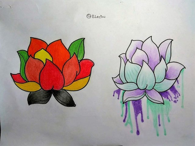 flor de loto 2.jpg