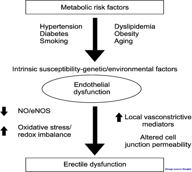 Risk Factors.png