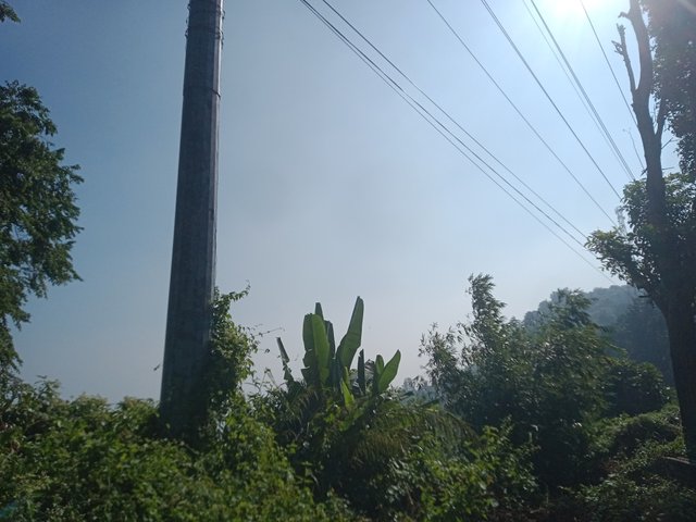 IMG20241206100643.jpg