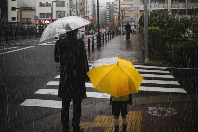 family-crossing-road-rainy-day_53876-126922.jpg