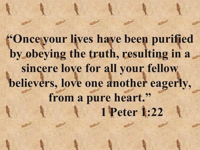 Scriptures on faith. Once your lives have been purified by obeying the truth, resulting in a sincere love.jpg