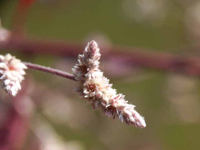 20221105_121344.jpg