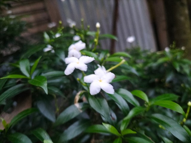 IMG20251001174230.jpg