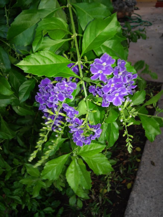 20180923_160630.jpg