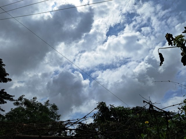 20240902_101932.jpg