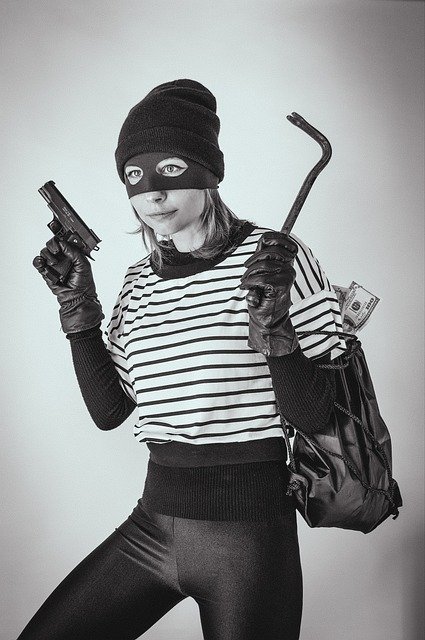 robber-6348201_640.jpg