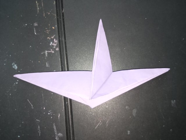 1000029464.jpg