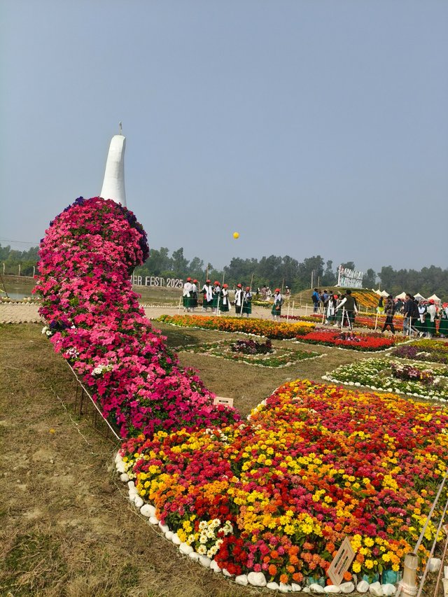 1000186575.jpg