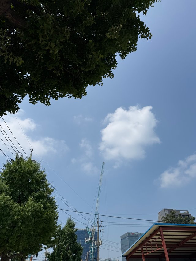 IMG_2137.jpeg