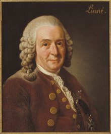 lossy-page1-220px-Carl_von_Linné,_1707-1778,_botanist,_professor_(Alexander_Roslin)_-_Nationalmuseum_-_15723.tif.jpg
