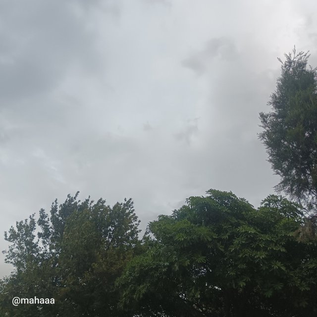 1000046787.jpg