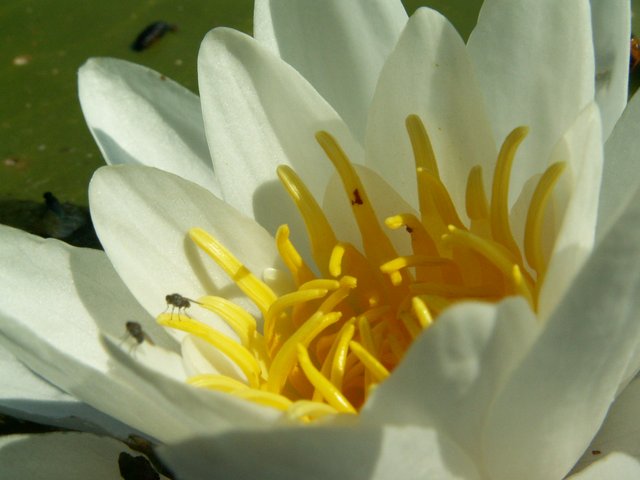 PICT0079.JPG
