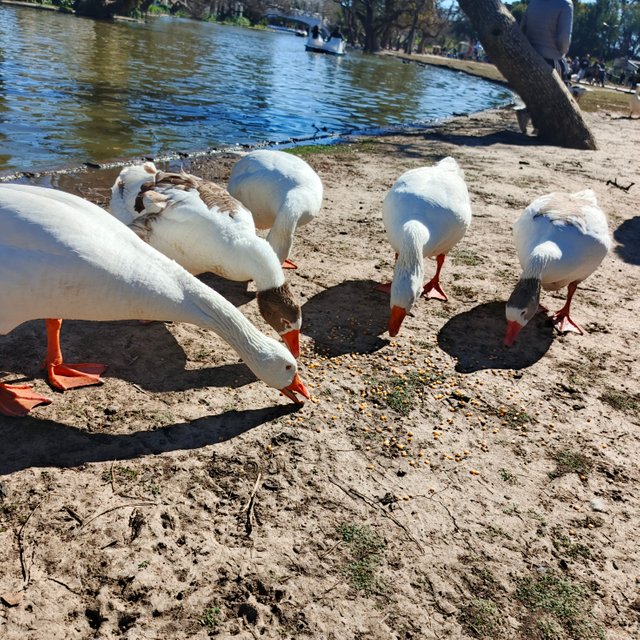 1000225650.jpg