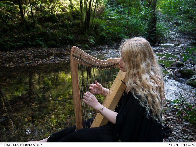 harpsicle harp nature - by priscilla Hernandez (yidneth.com).jpg