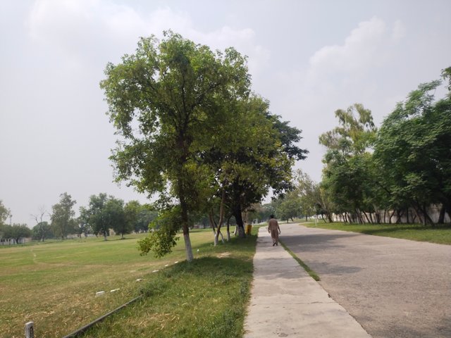 IMG_20250816_124224.jpg
