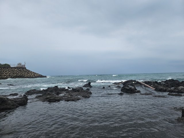 20250913_131652.jpg