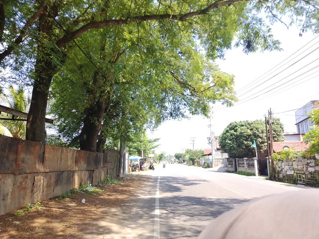 1000135028.jpg