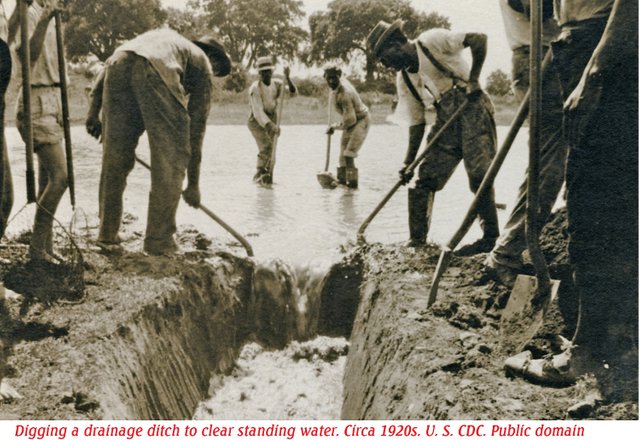 Draining area to control mosquitoes 1920s southern US CDC public.jpg