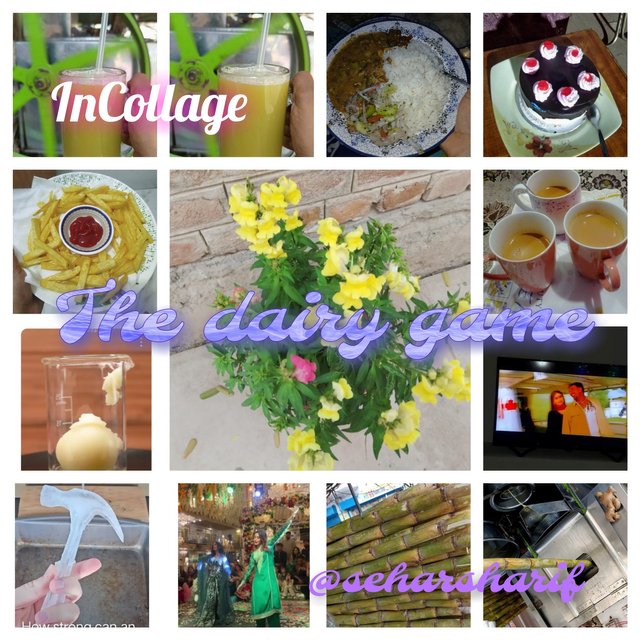 InCollage_20250509_214512386.jpg