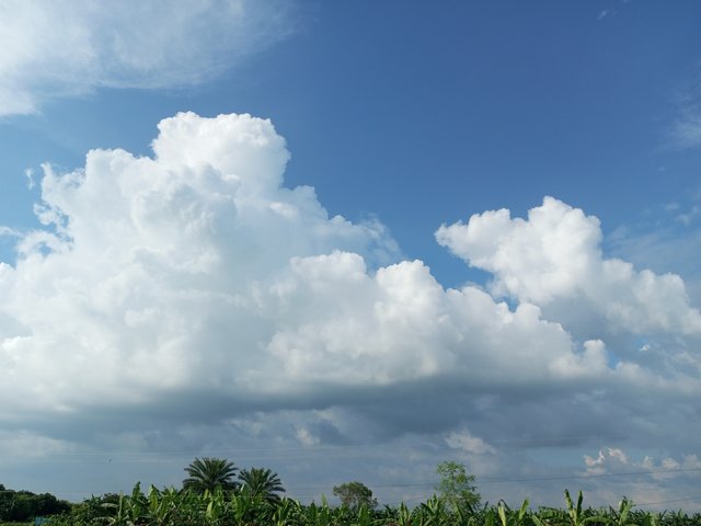 IMG_20250923_154011_405.jpg