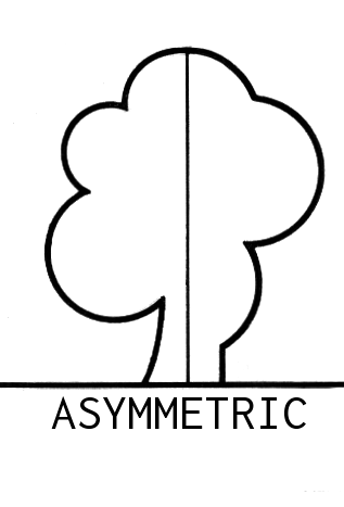 asymmetric.png