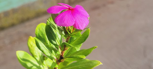 20250626_172525.jpg