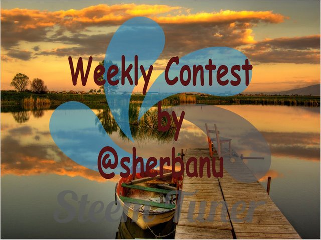 weekly contest of sherbanu p (1).jpg