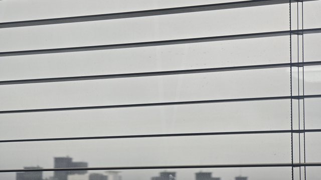 1000127800.jpg