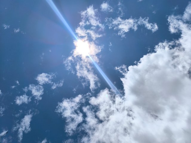 1000704197.jpg