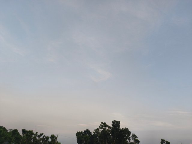 IMG_20250613_185316.jpg