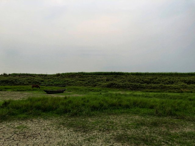 IMG_1958-01.jpeg