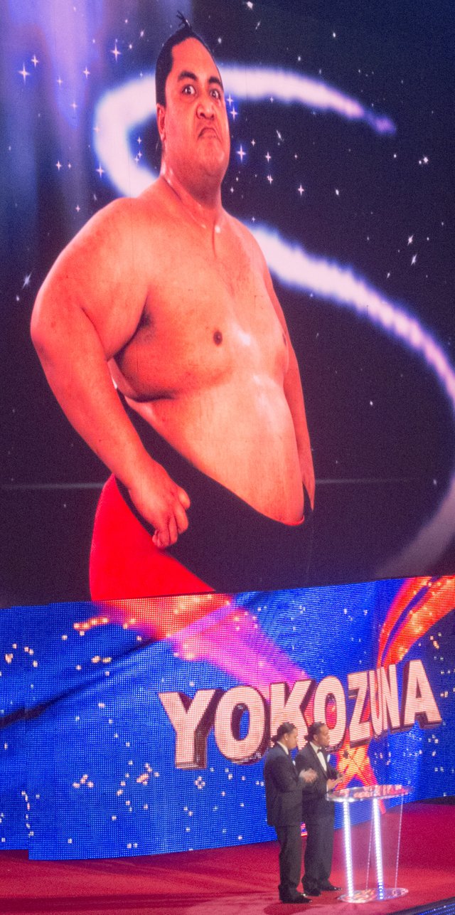 WWE_Hall_of_Fame_2012_Yokozuna_(cropped).jpg